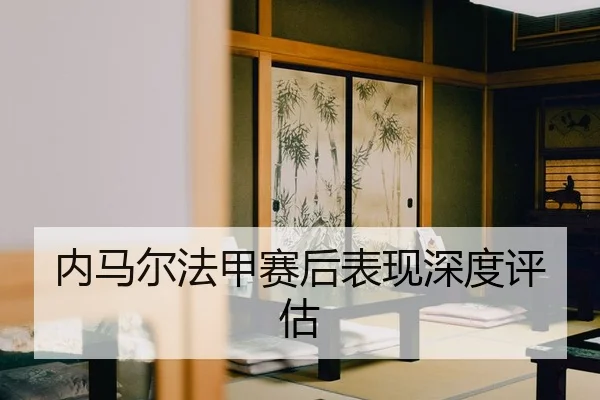 nei-ma-er-fa-jia-sai-hou-biao-xian-shen-du-ping-gu-2-491.jpg